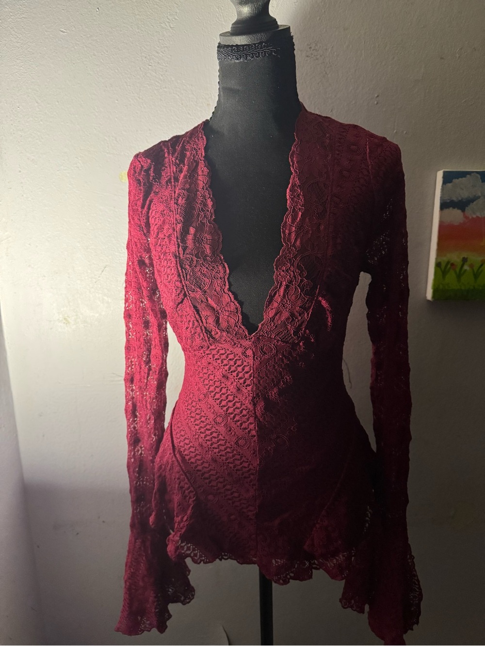 Urban Outfitters Wine Lace V‑Neck Long Sleeve Blouse